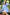 The Boat Dress in Delft Blue