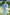 The Hemingway Robe in Blue Peony